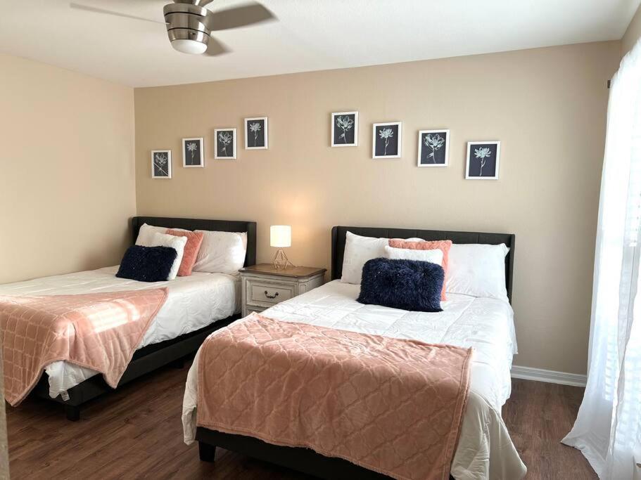 Lovely 2 Bedroom/2 Bath Houston, Heights/Galleria المظهر الخارجي الصورة